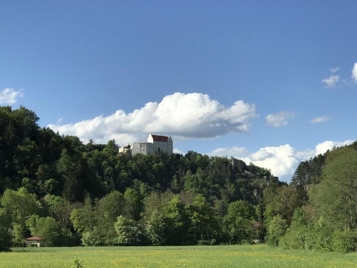 Ferienchalet Burgenblick Риденбург Екстериор снимка