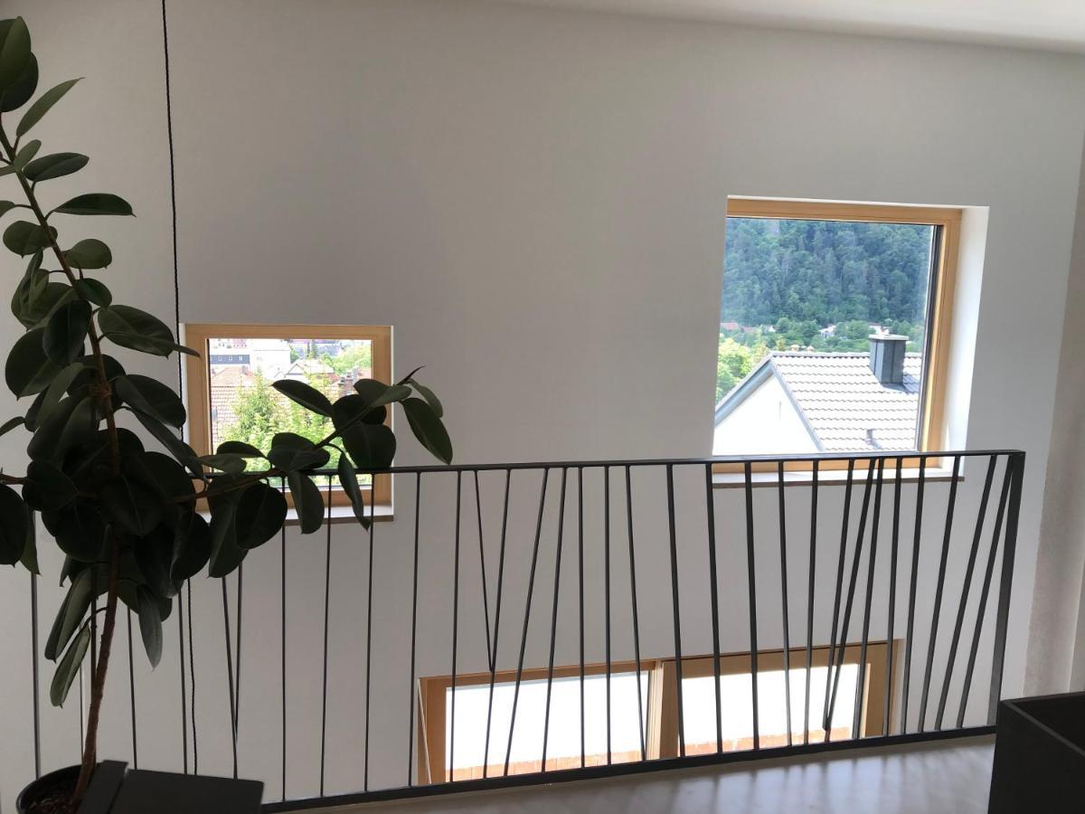 Ferienchalet Burgenblick Риденбург Екстериор снимка